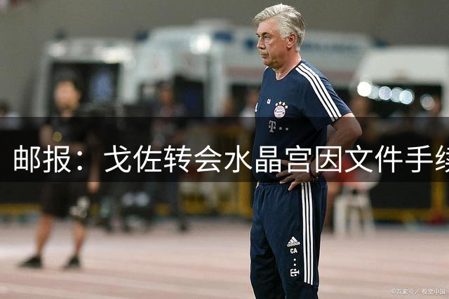 邮报：戈佐转会水晶宫因文件手续受阻，俱乐部仍对交易完成有信心